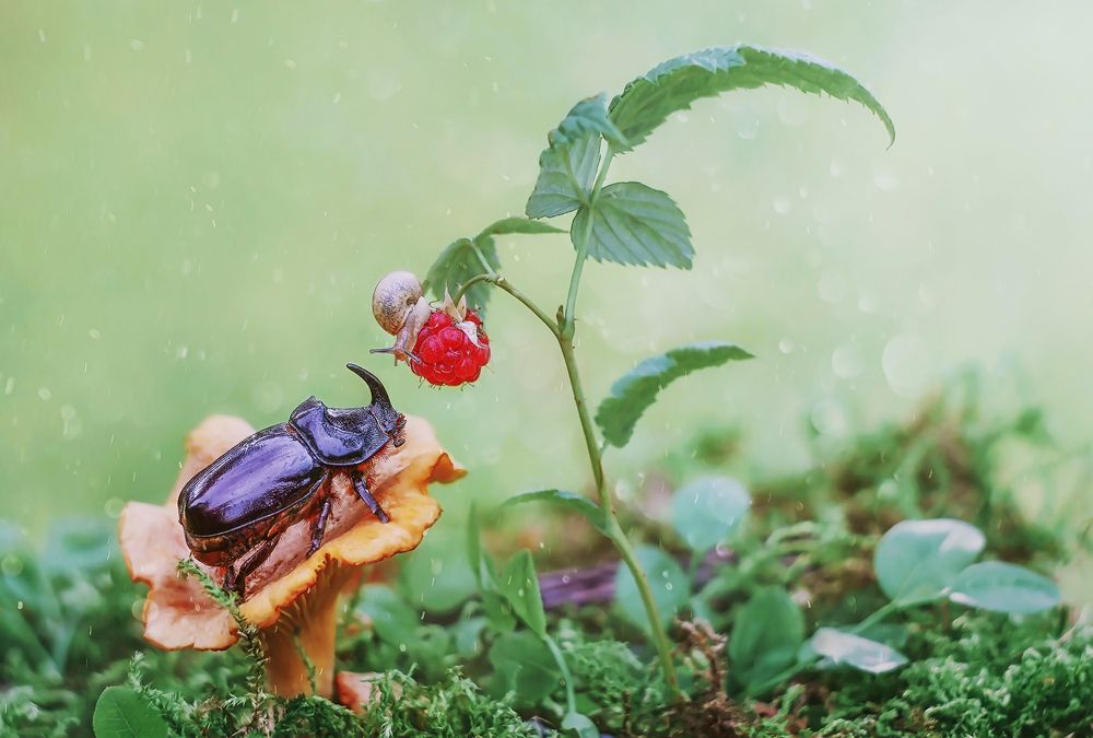 Photograph by Дарья Яновцева