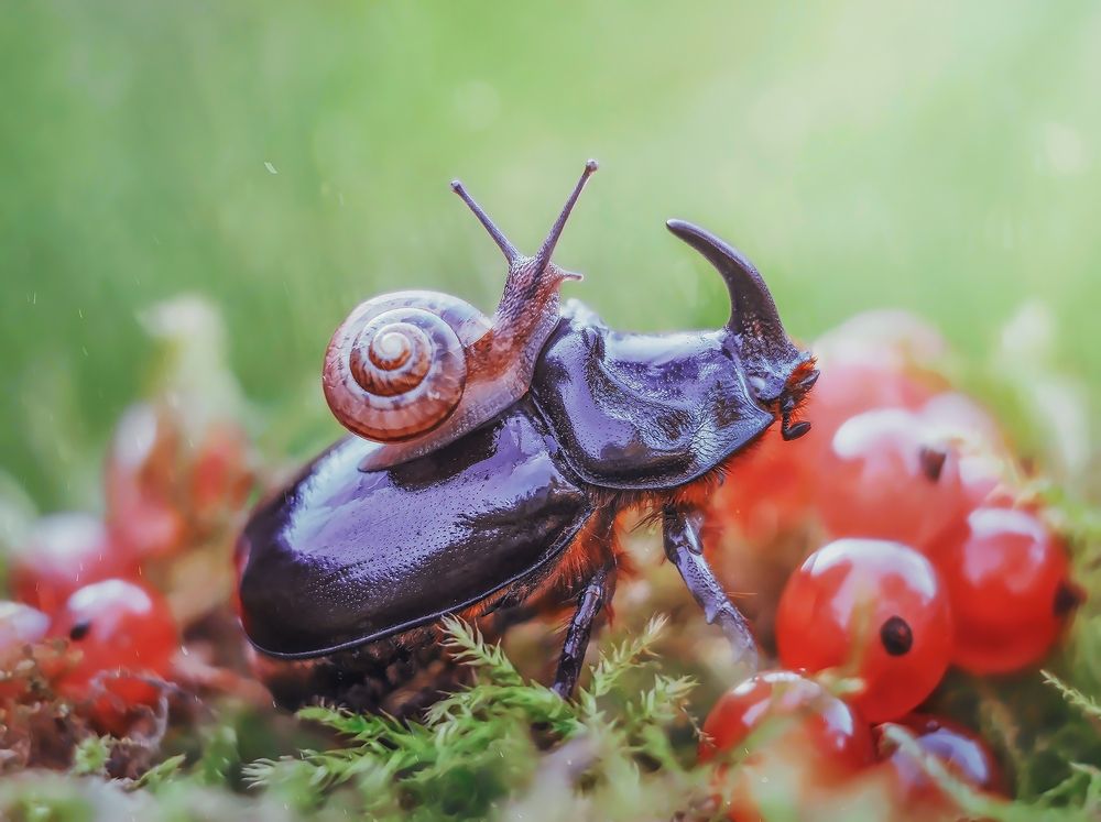 Photograph by Дарья Яновцева