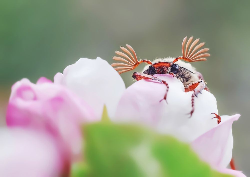 Photograph by Дарья Яновцева