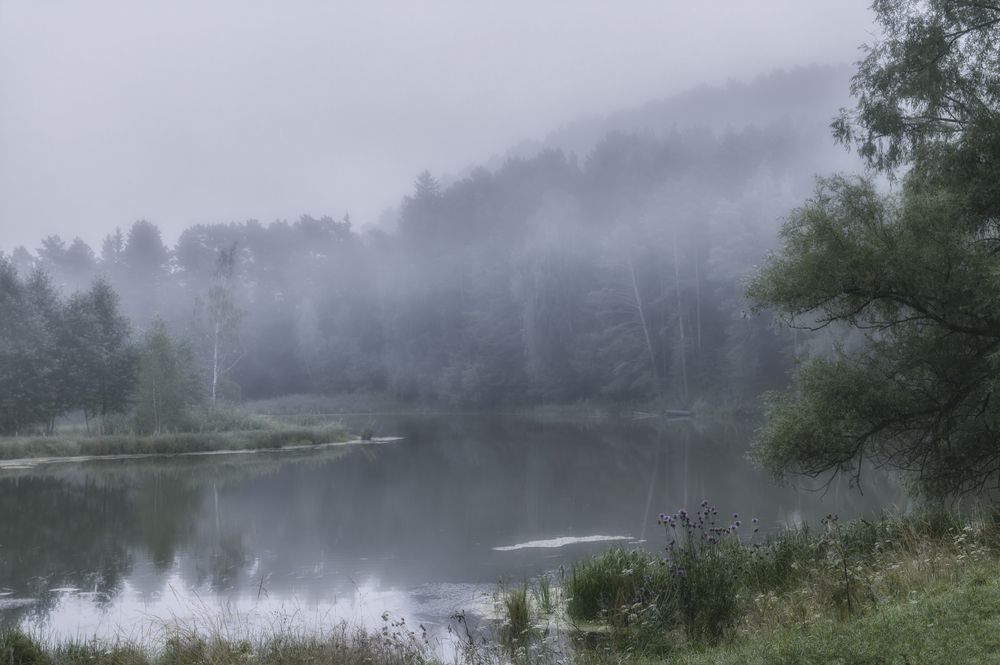 Photograph by сергей поспелов