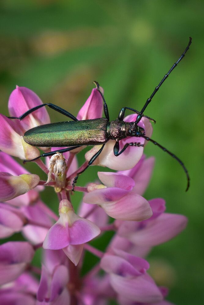 Photograph by Татьяна Хорошун