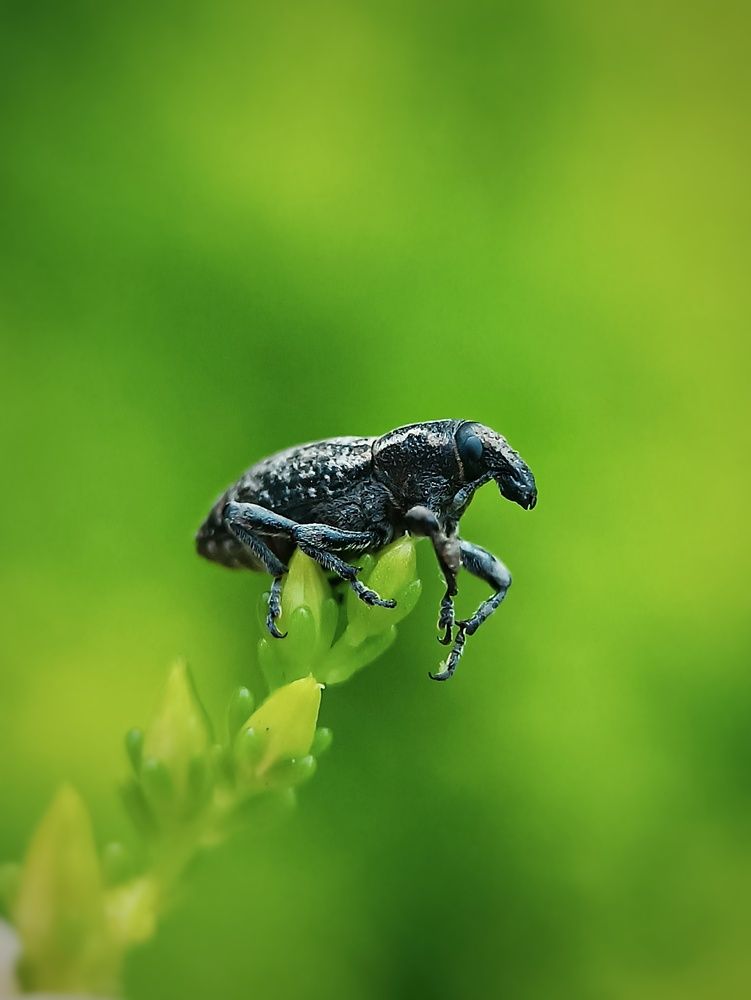 Photograph by Кристина Панченко