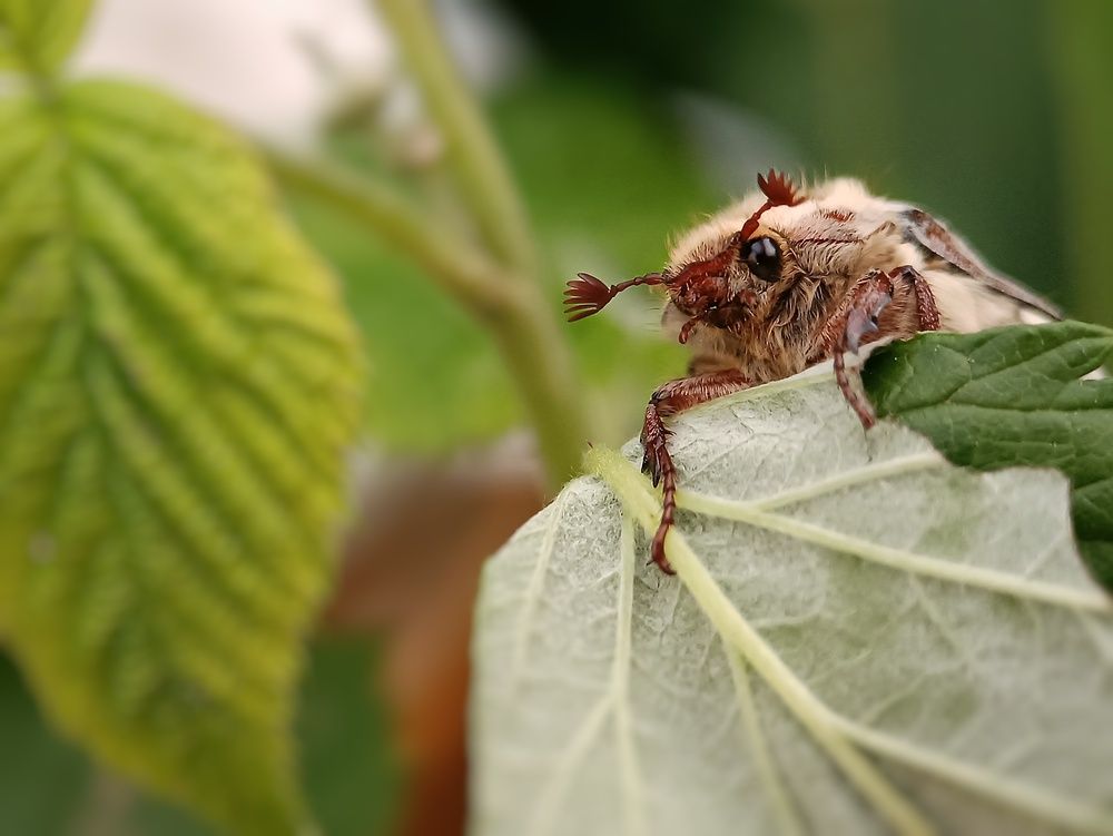 Photograph by Кристина Панченко