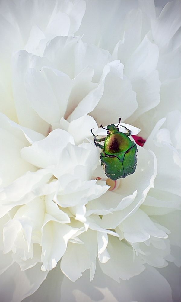 Photograph by Татьяна Хорошун