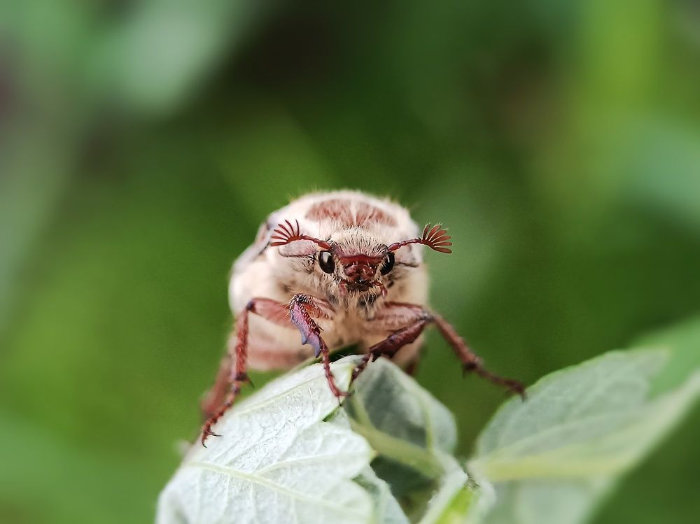 Photograph by Кристина Панченко