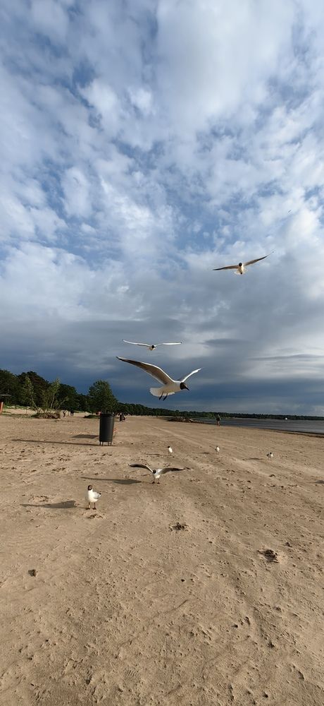 Photograph by Анна Ленчик
