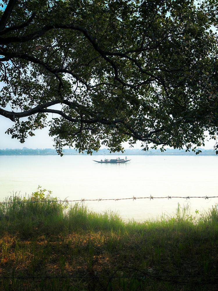 Фотография автора Arafat Hossain