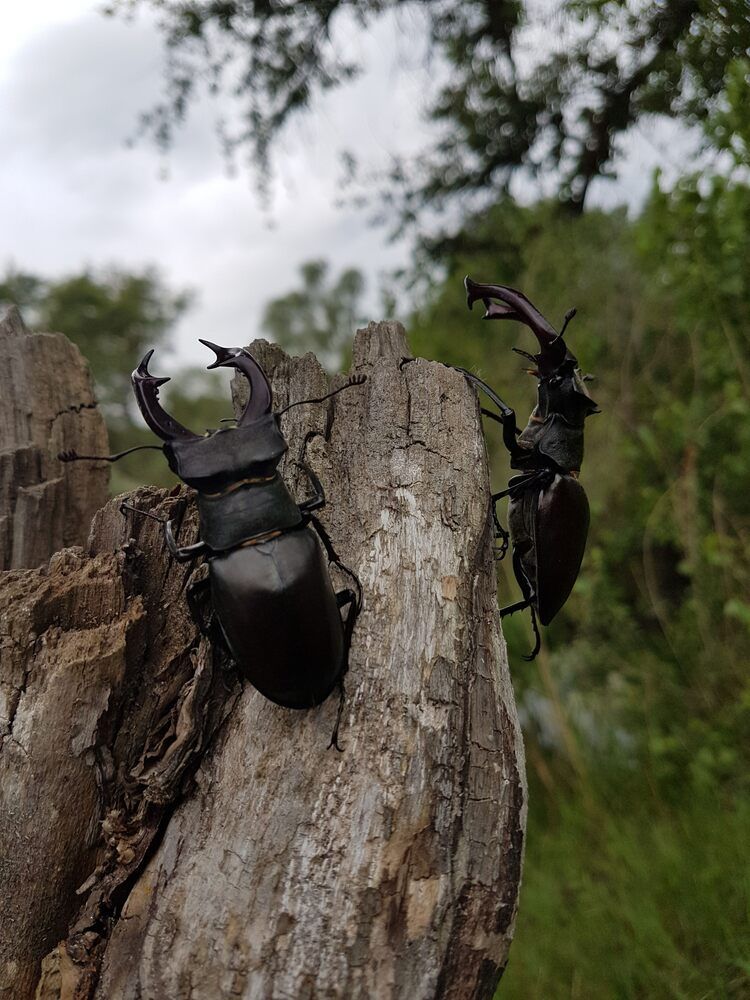 Photograph by Ольга Переходнова