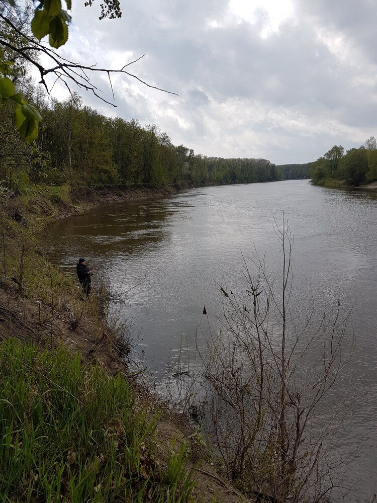 Photograph by Ольга Переходнова