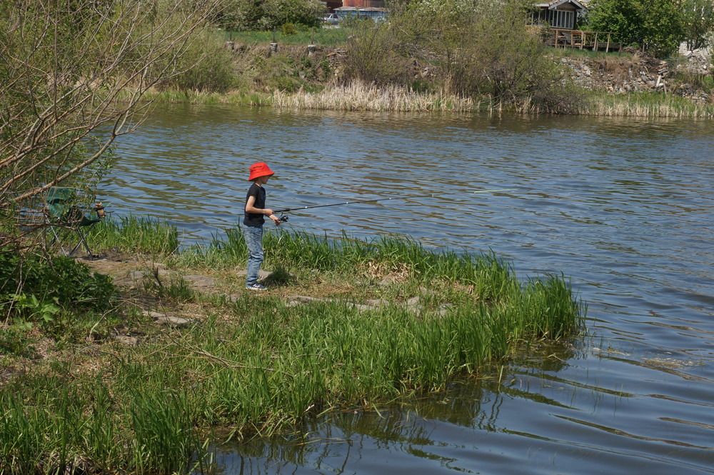 Photo #13267869