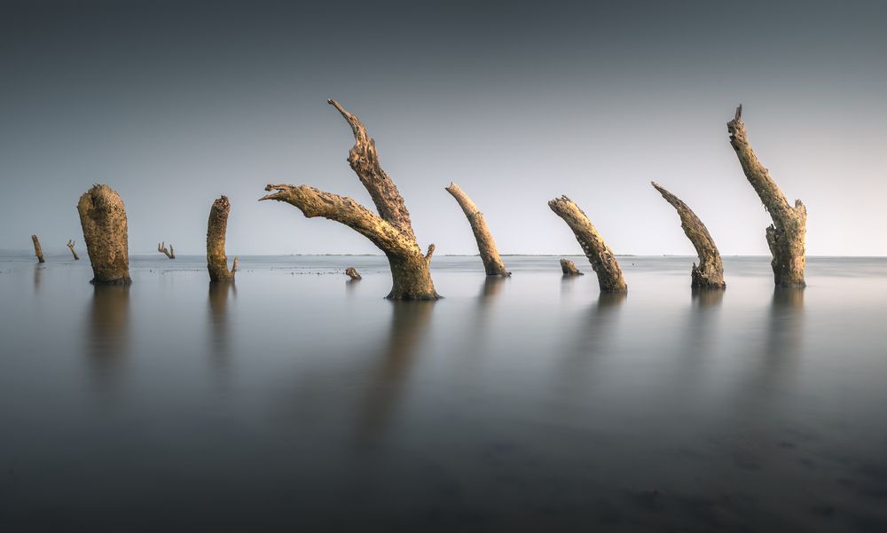 Фотография автора Sk Shahrukh Sohel