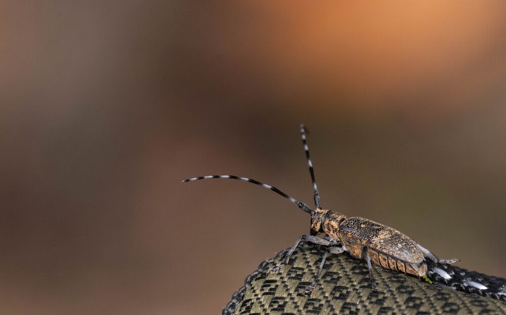 Фотография автора Анатолий Дворкин