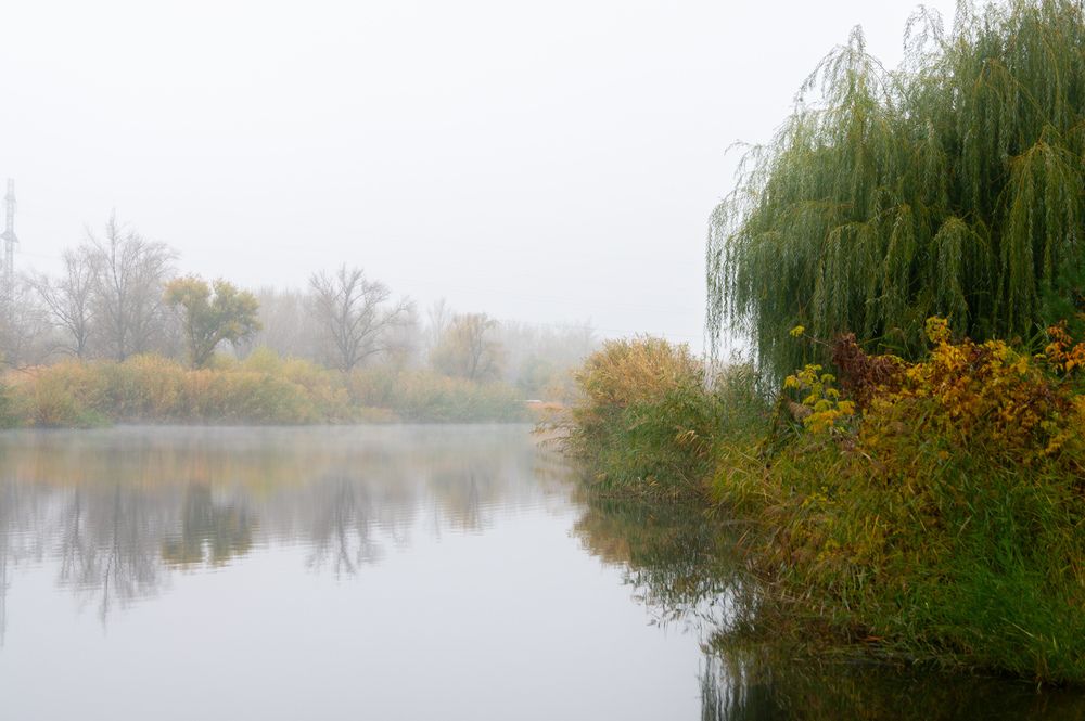 Photo #13268012