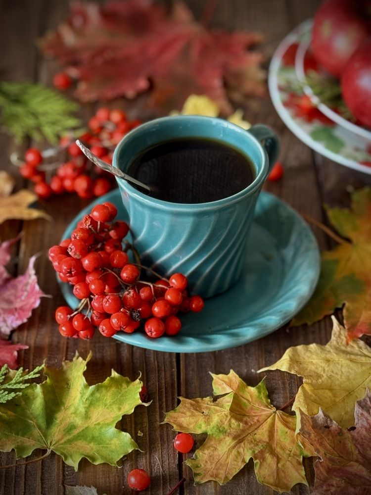 Photograph by Алена Ходатович
