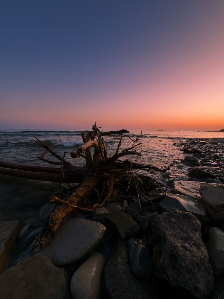 Photograph by Constantine Popov