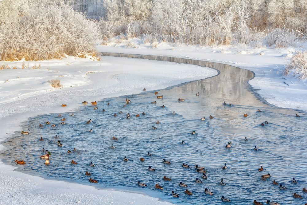 Photograph by Александр Горбаш