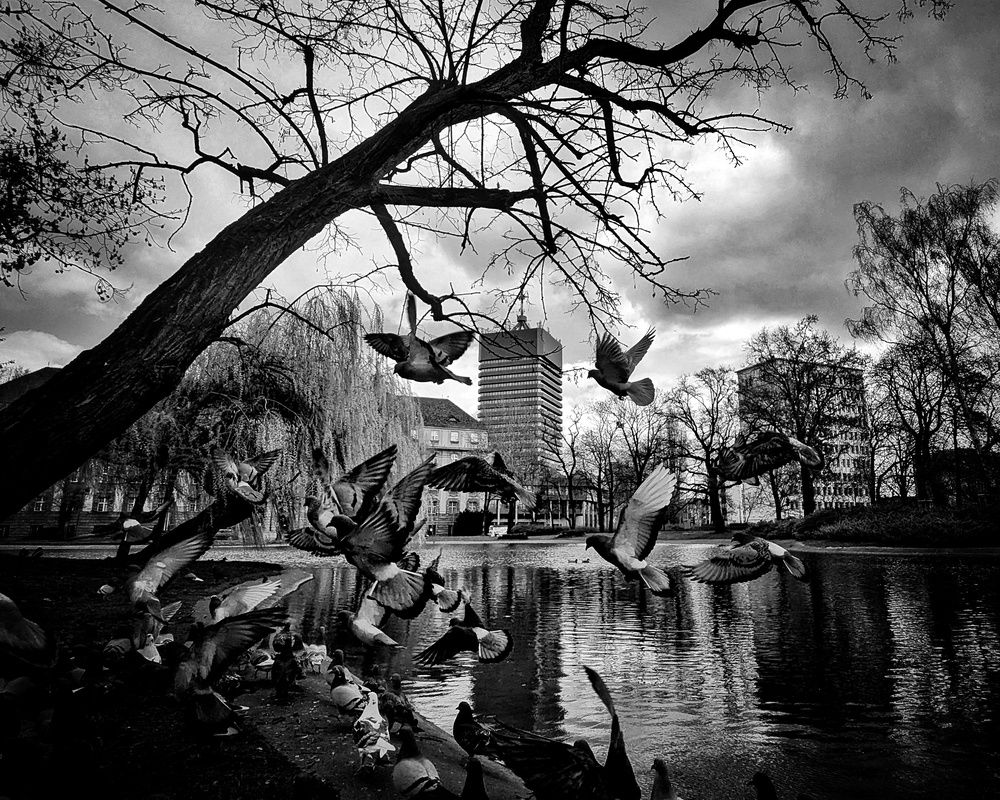 Фотография автора Margarita Naumczyk