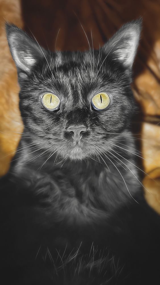 Photograph by Romanova Tatyana
