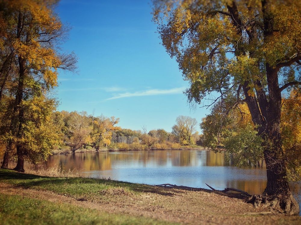 Photograph by Сергей Зайцев