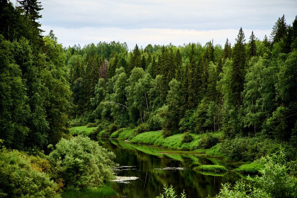 Photograph by Александр Пугачев