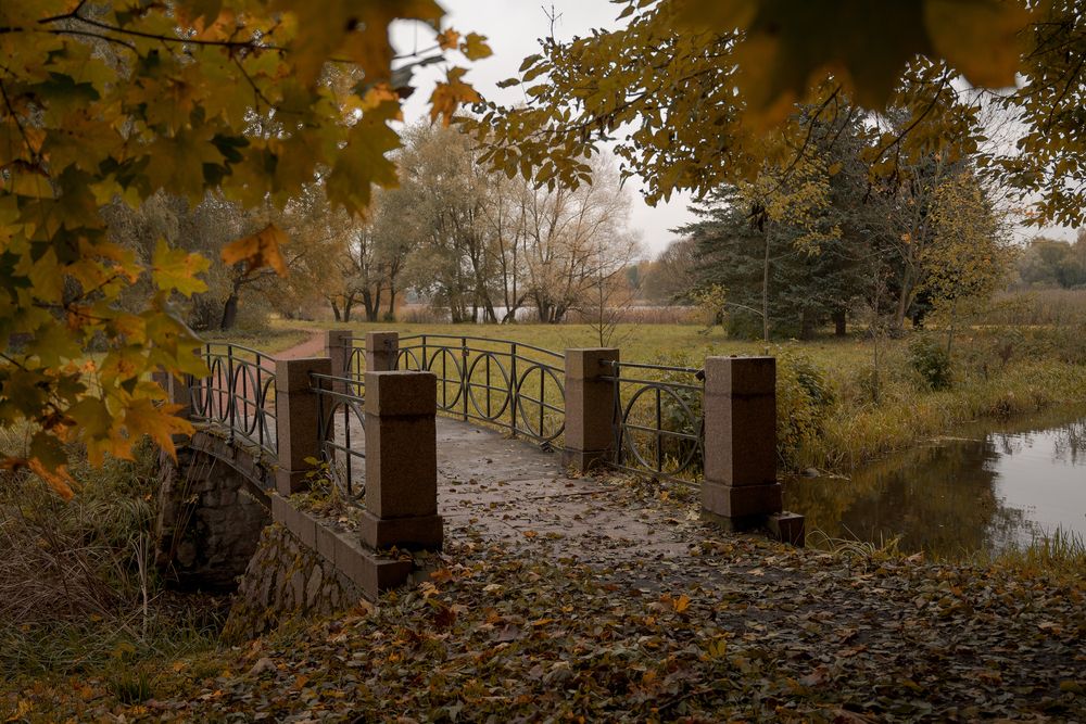 Photograph by Кончакова Дарья