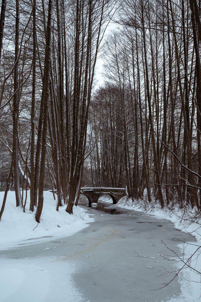 Photograph by Кончакова Дарья