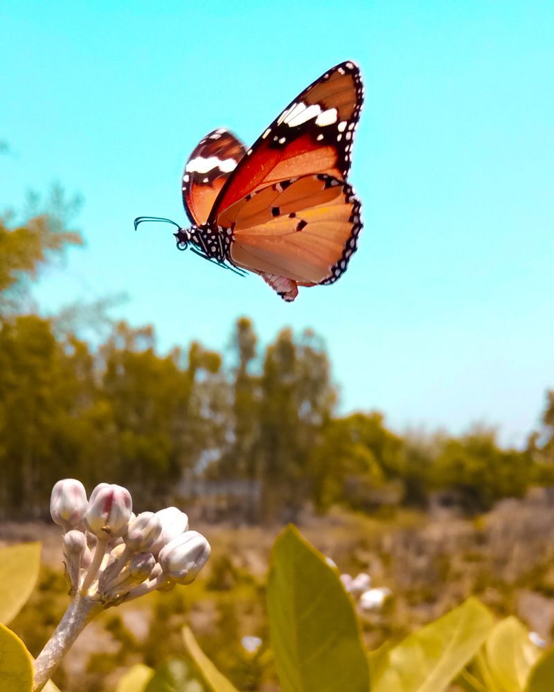 Photograph by Souvik Bhattacharyya