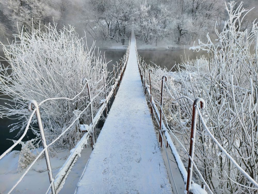 Photograph by Кухта Мария