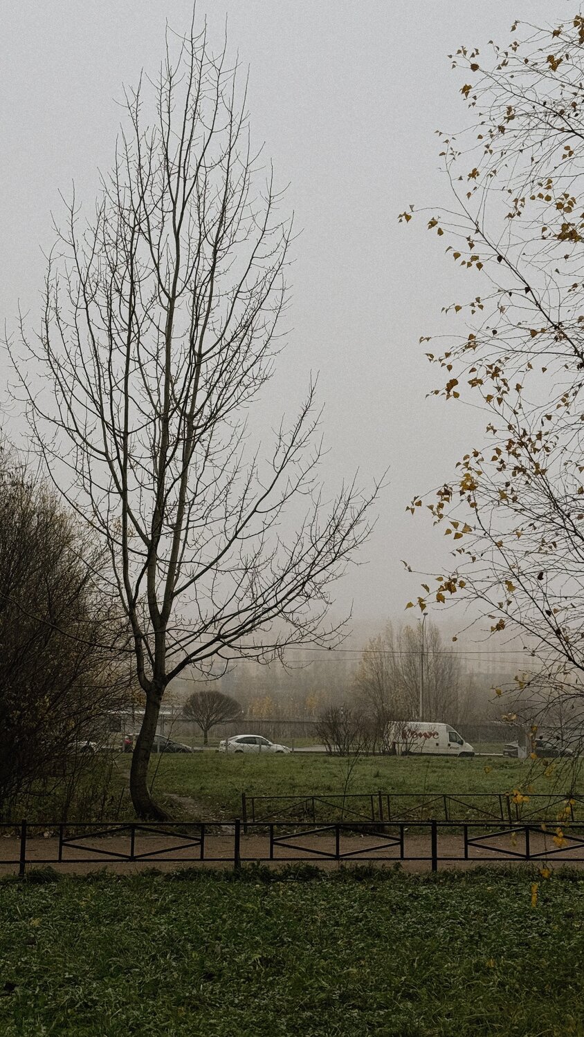Photo #13268571