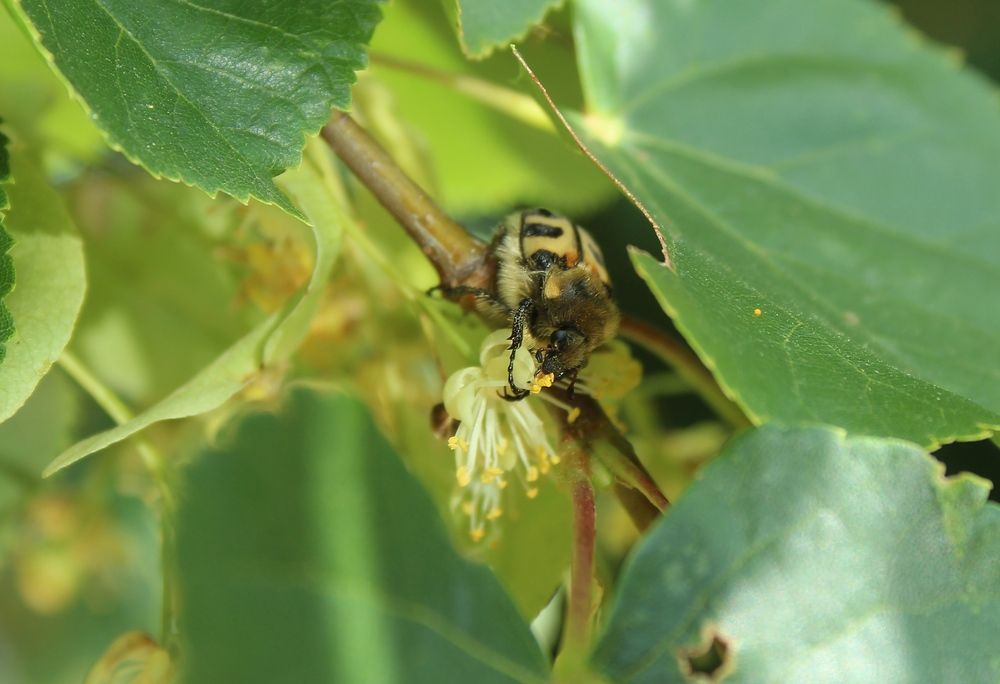 Photograph by Наталья Волкова