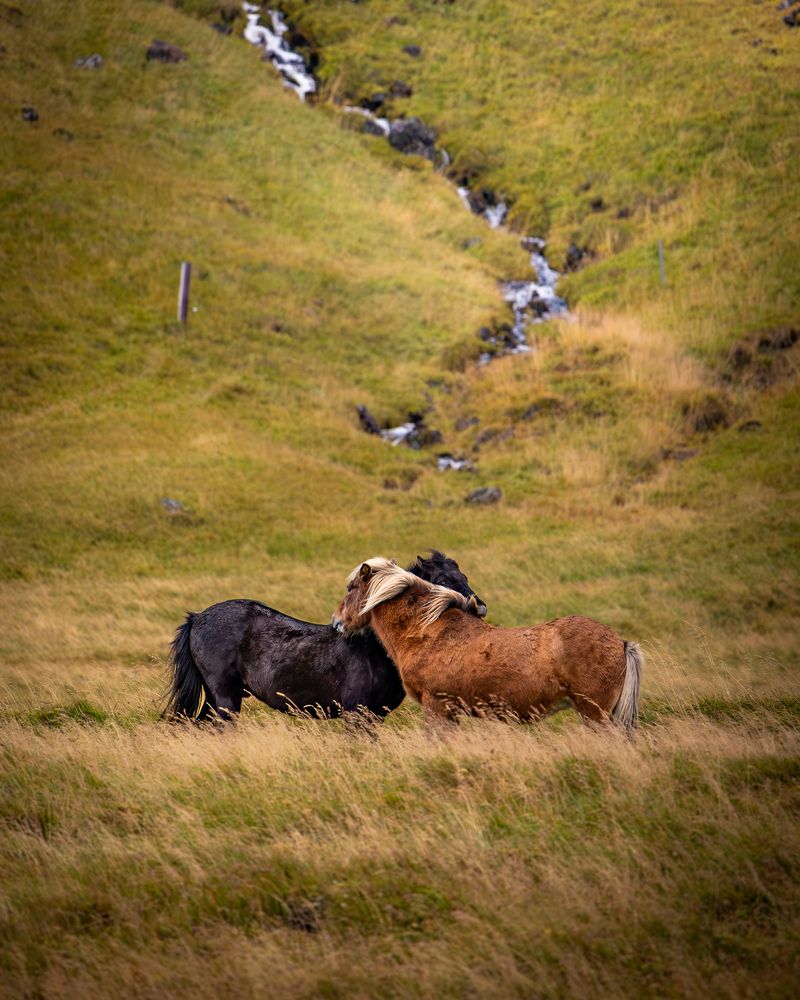 Photograph by Moldvaji Robert