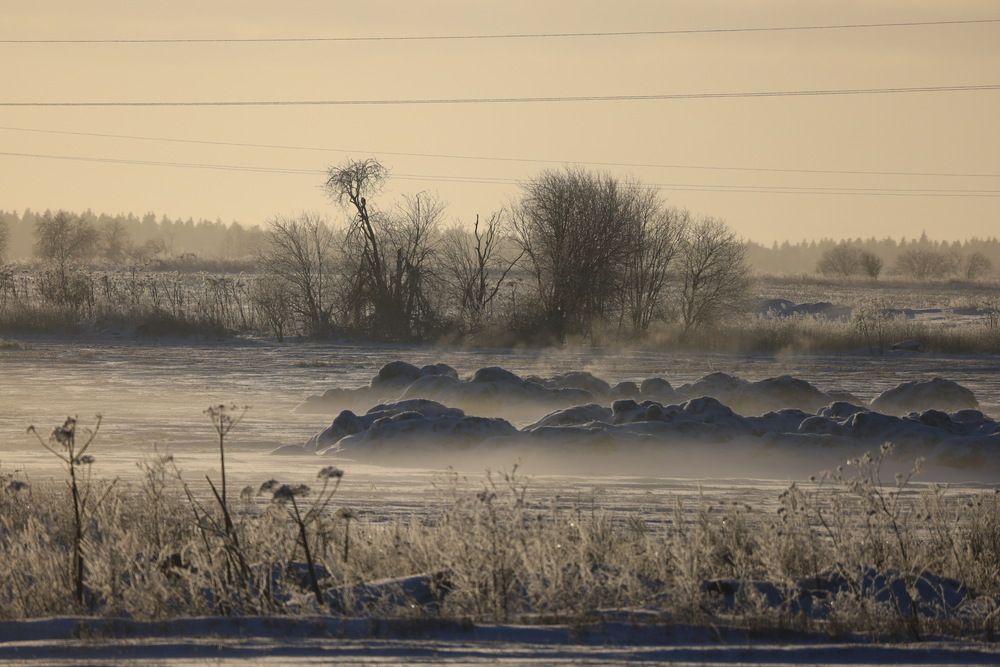 Photo #13268623