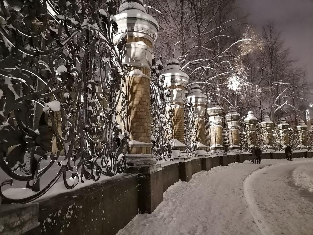 Снежная симфония Михайловского сада