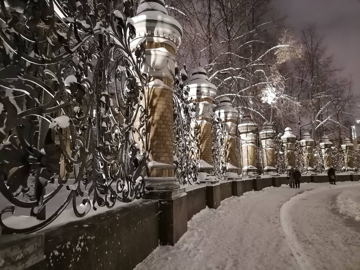 Снежная симфония Михайловского сада