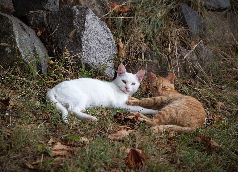 Не подглядывай!
