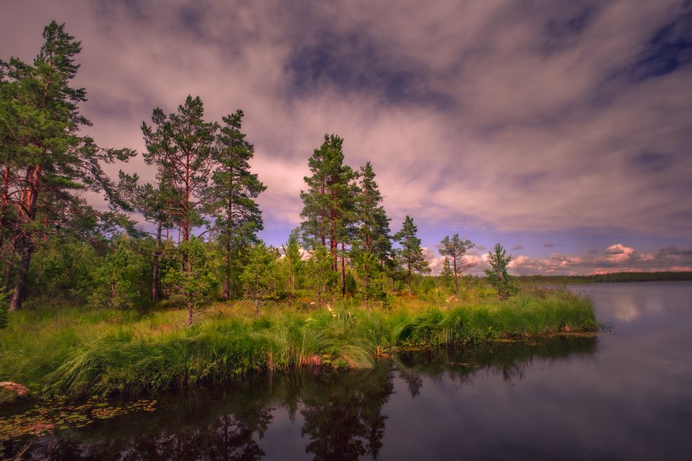 Photograph by Дмитрий Себрин