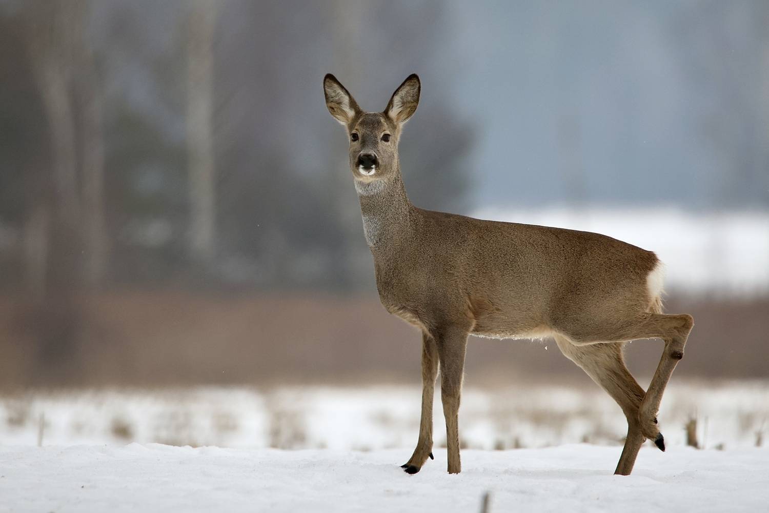 Привет. Привет.