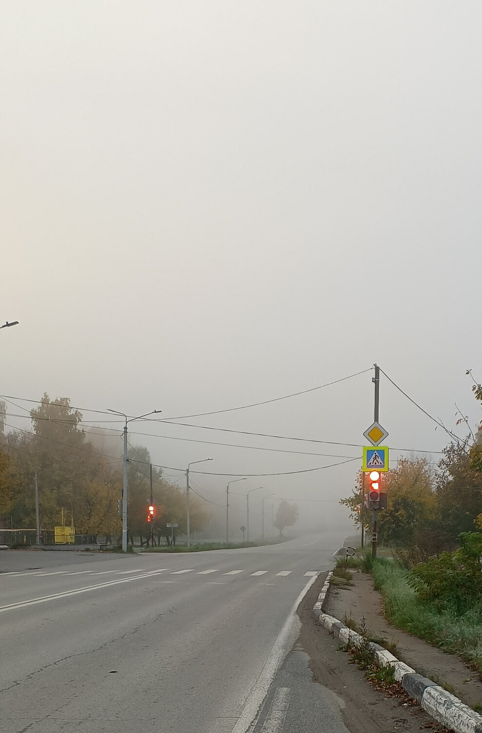 Photo #13268805