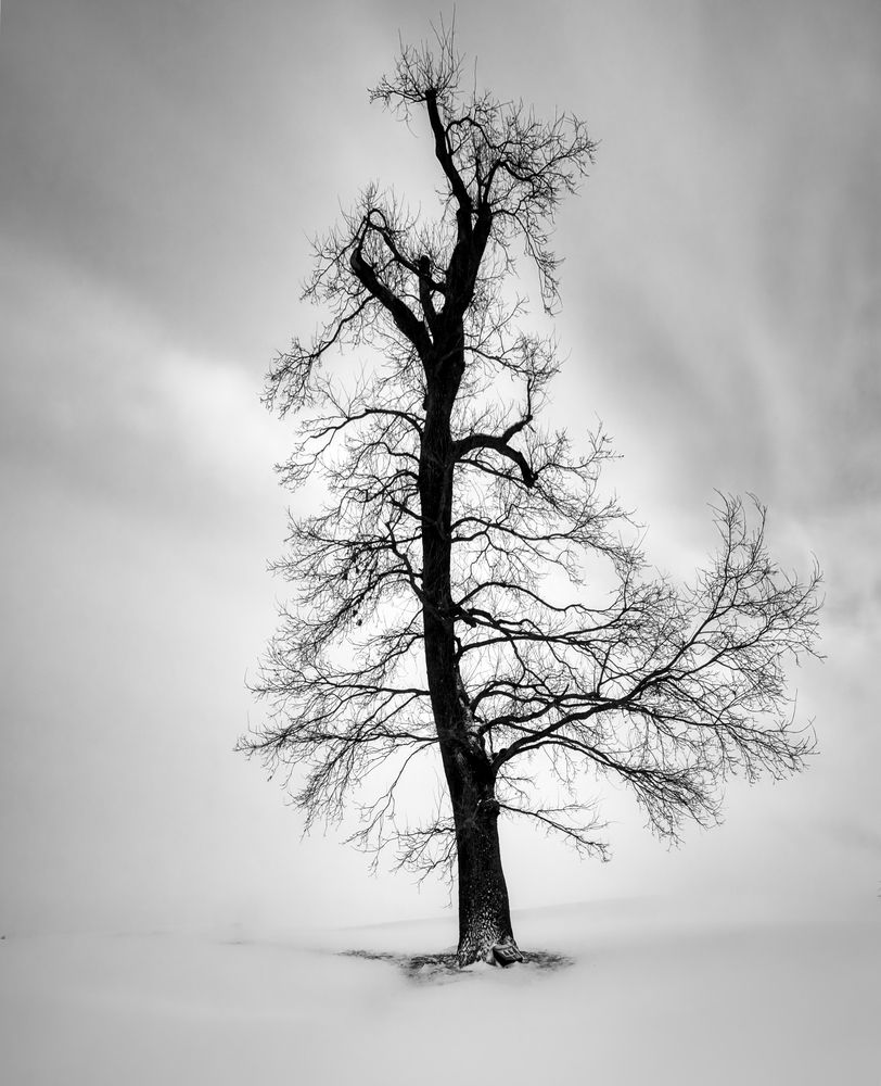Фотография автора Kulikova Albina