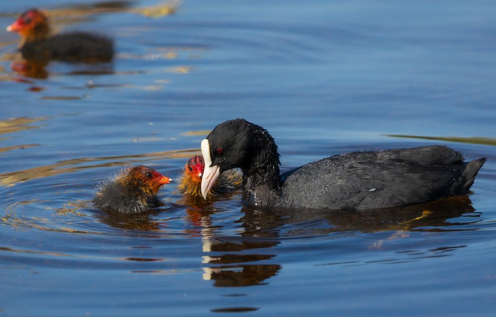 Photograph by Торопов Александр