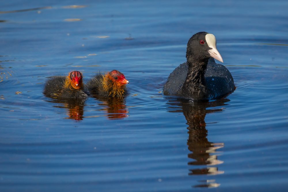 Photograph by Торопов Александр