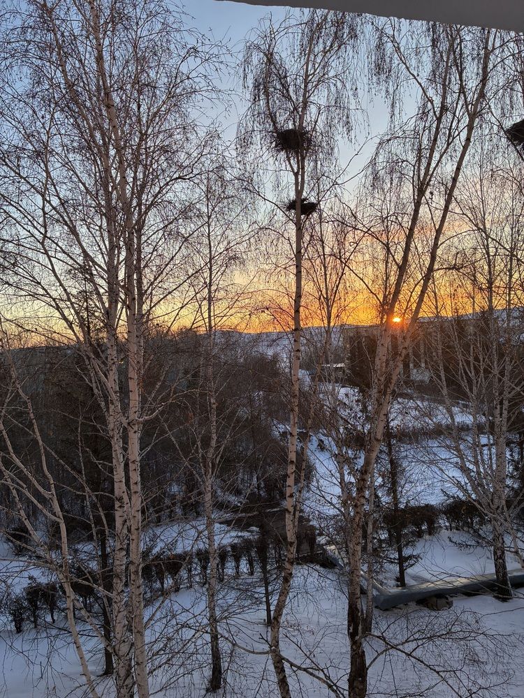 Photo #13268939