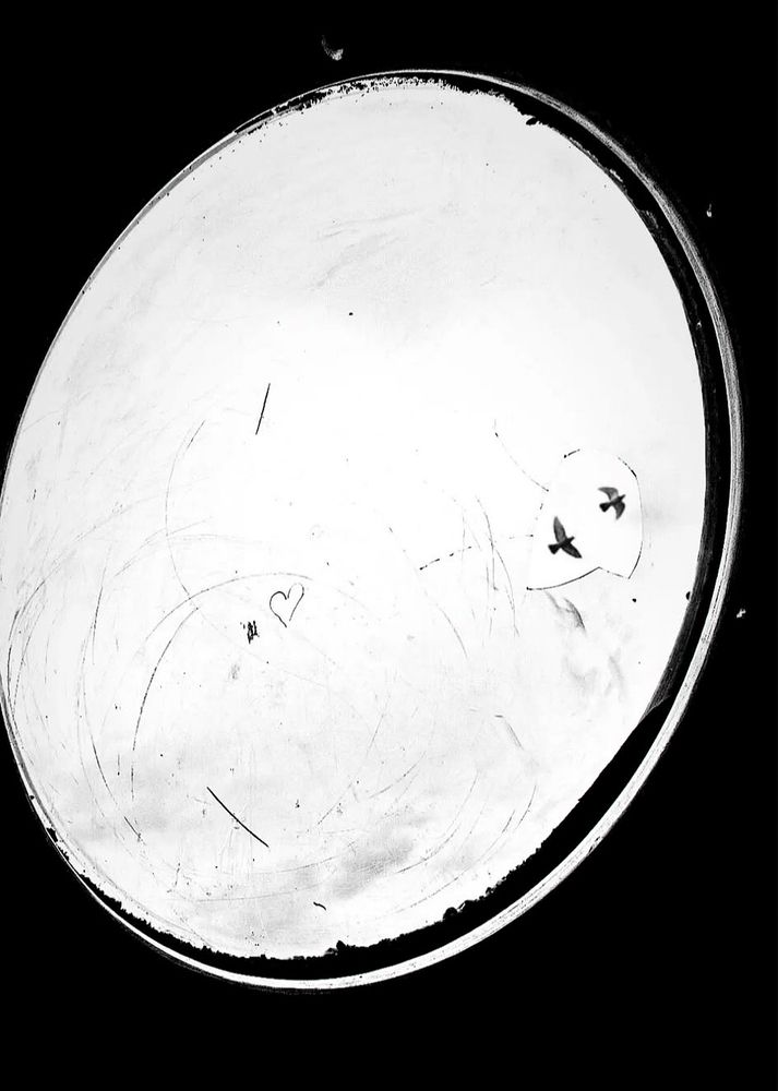 Photograph by Abdullah Ibradžić