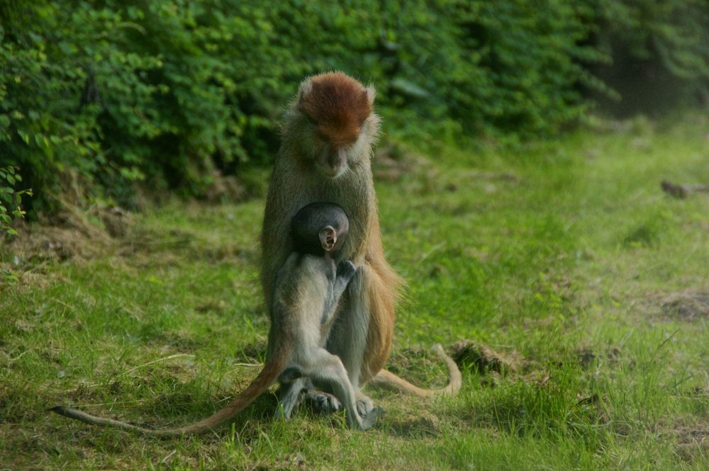Фотография автора Sergej Roor