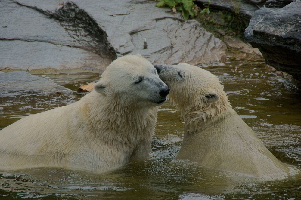 Фотография автора Sergej Roor