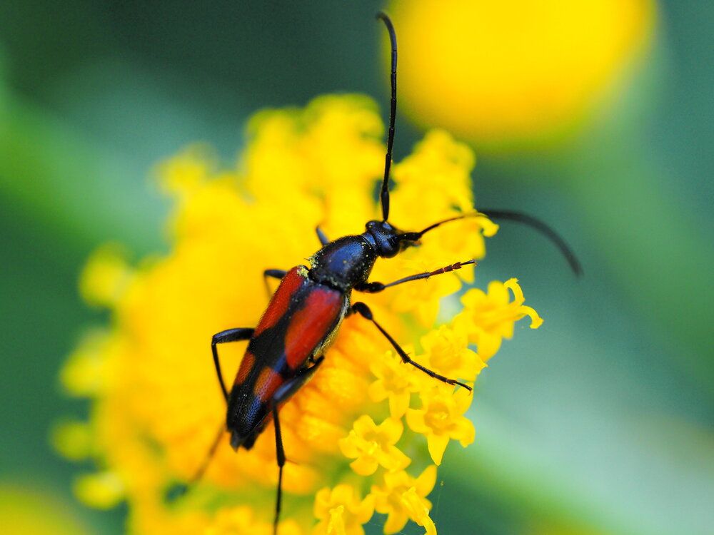 Photograph by Сергей Борисов