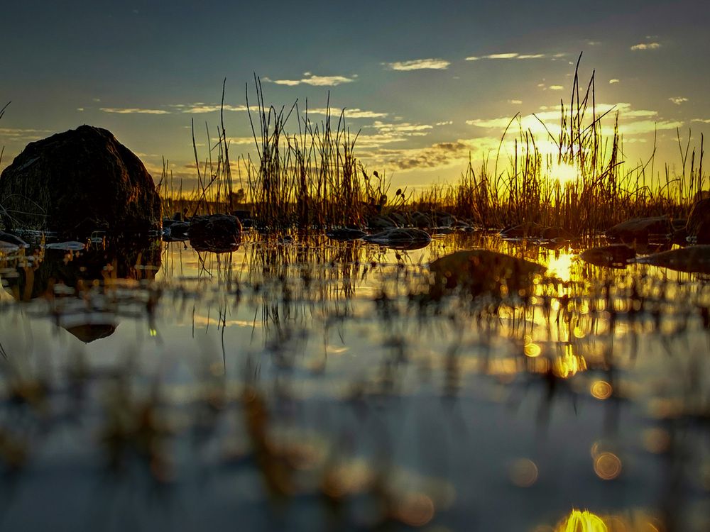 Photograph by Александр Разумов