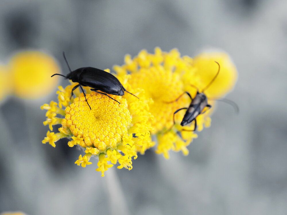 Photograph by Сергей Борисов