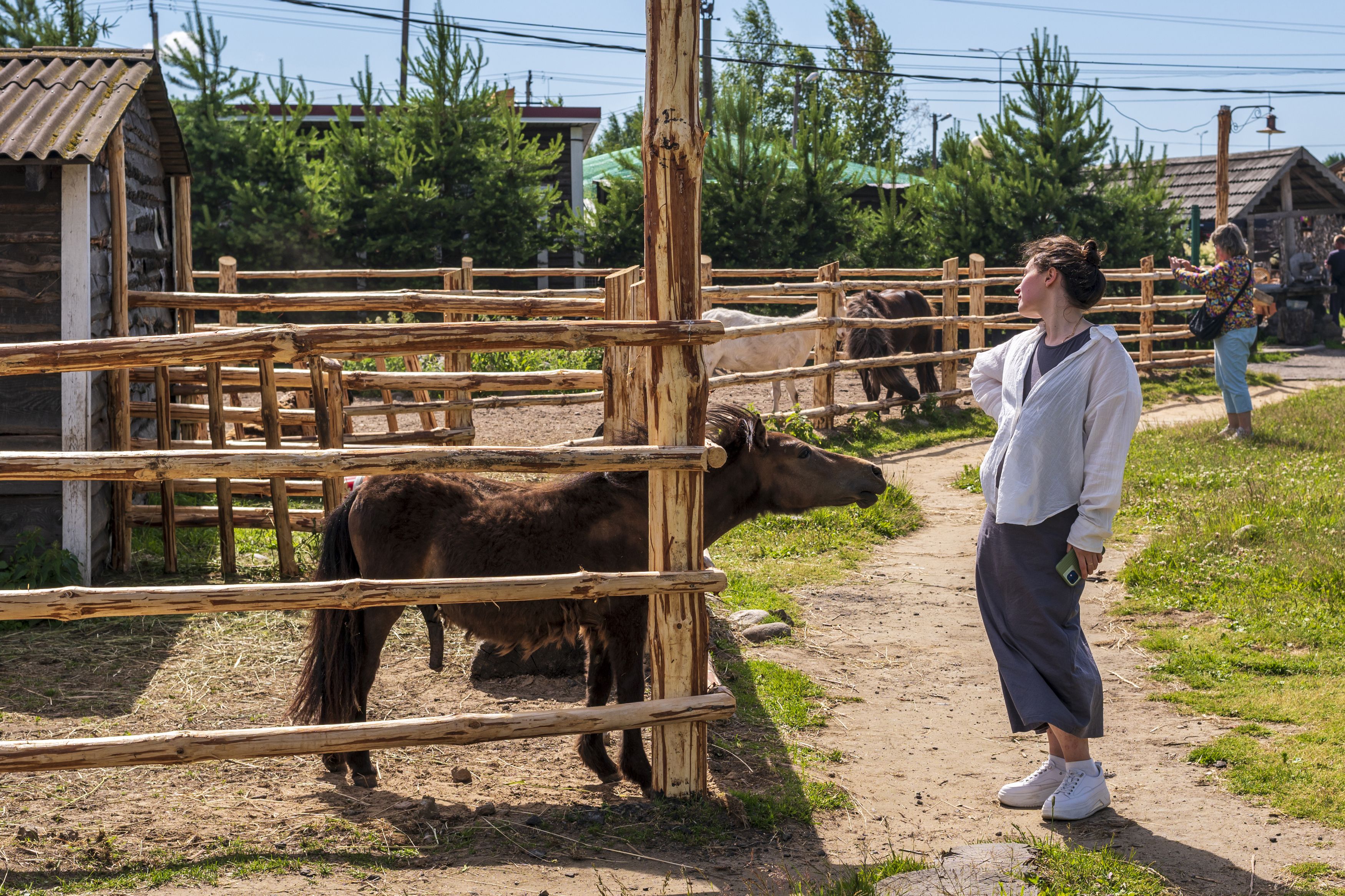 Photograph by Николай Литвак