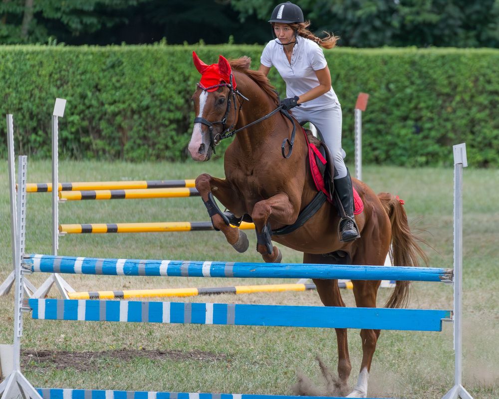 Photograph by Мамсур